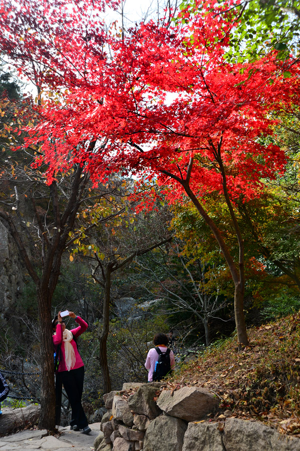 【 · 九水秋色 · 】