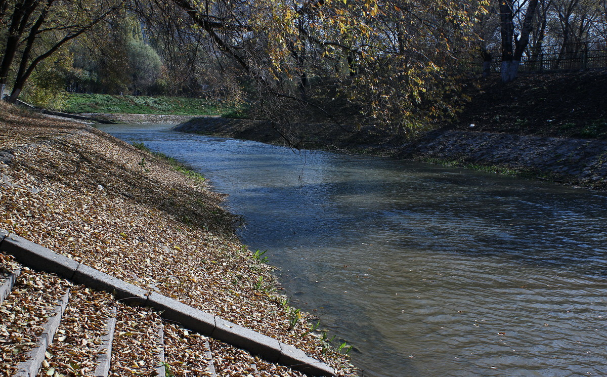 晚秋的小河边---哈尔滨黛秀植物园内的马家沟河畔随拍