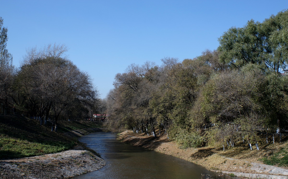 晚秋的小河边---哈尔滨黛秀植物园内的马家沟河畔随拍