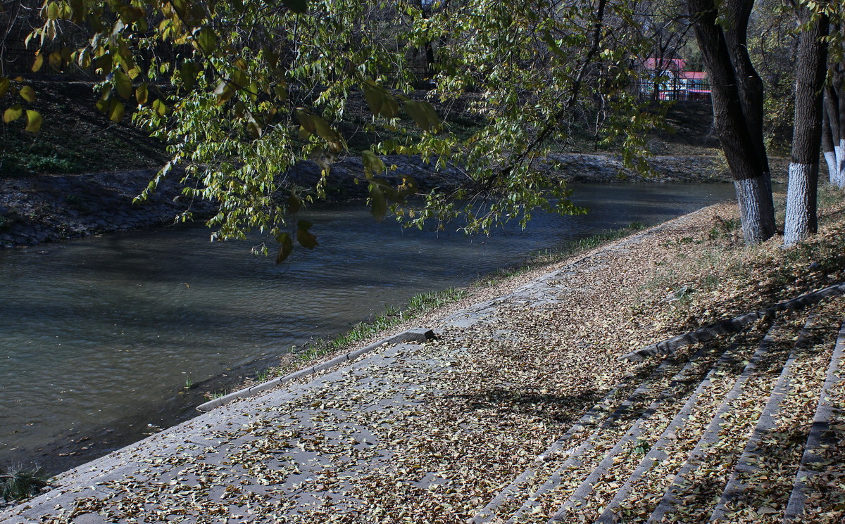 晚秋的小河边---哈尔滨黛秀植物园内的马家沟河畔随拍