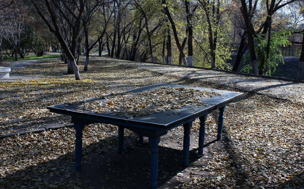 晚秋的小河边---哈尔滨黛秀植物园内的马家沟河畔随拍