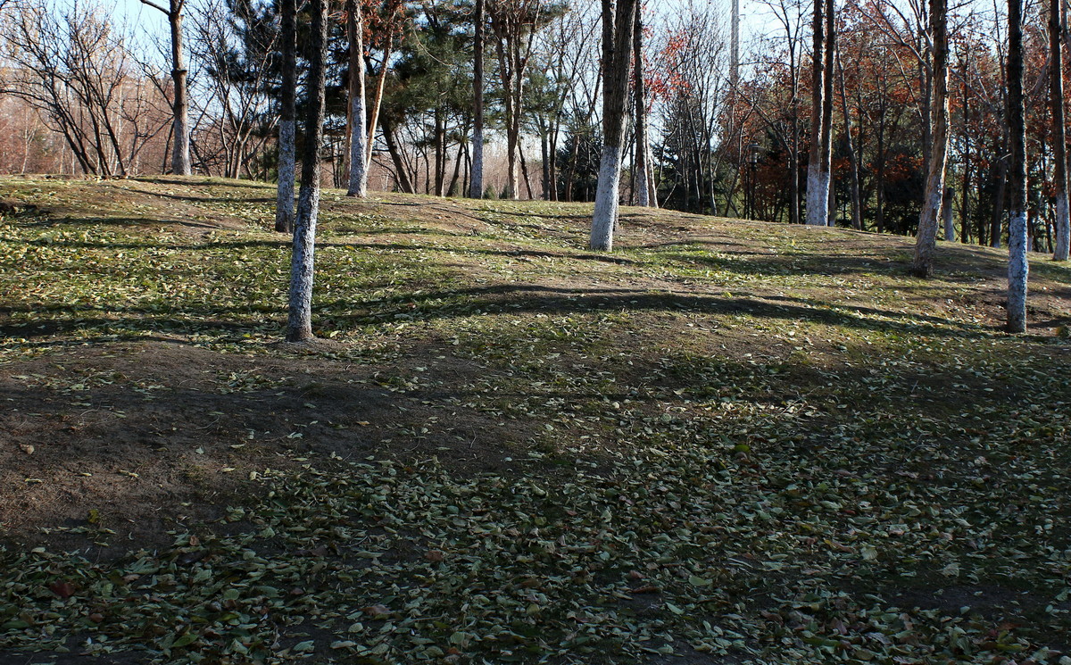 晚秋的小河边---哈尔滨黛秀植物园内的马家沟河畔随拍