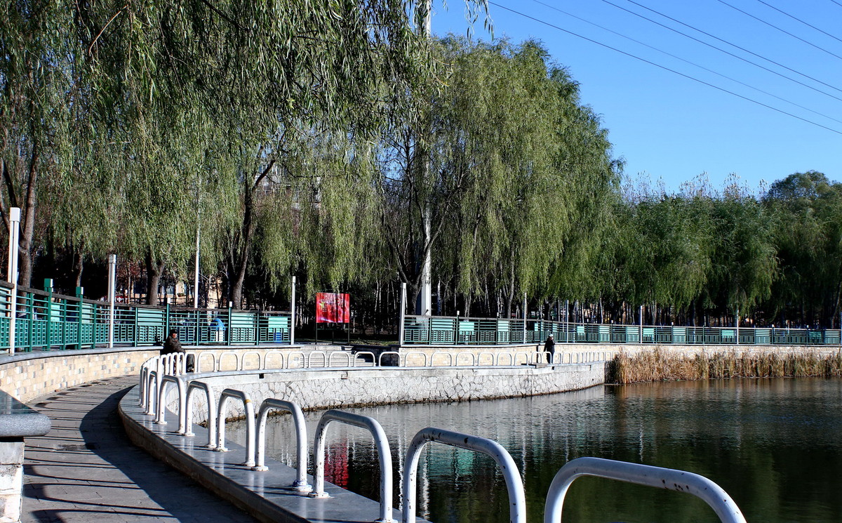 晚秋的小河边---哈尔滨黛秀植物园内的马家沟河畔随拍