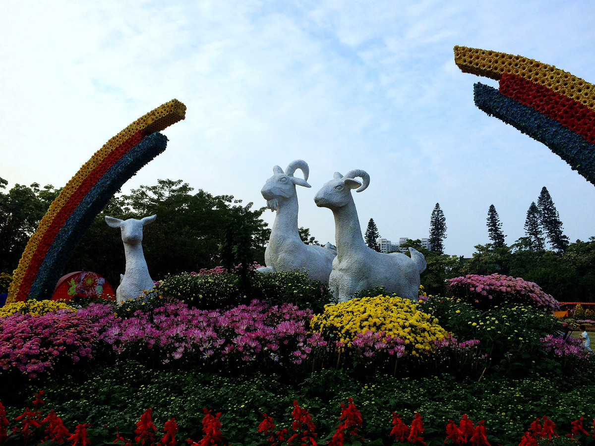 2015年汕头菊展行摄--iPhone 5S 拍摄