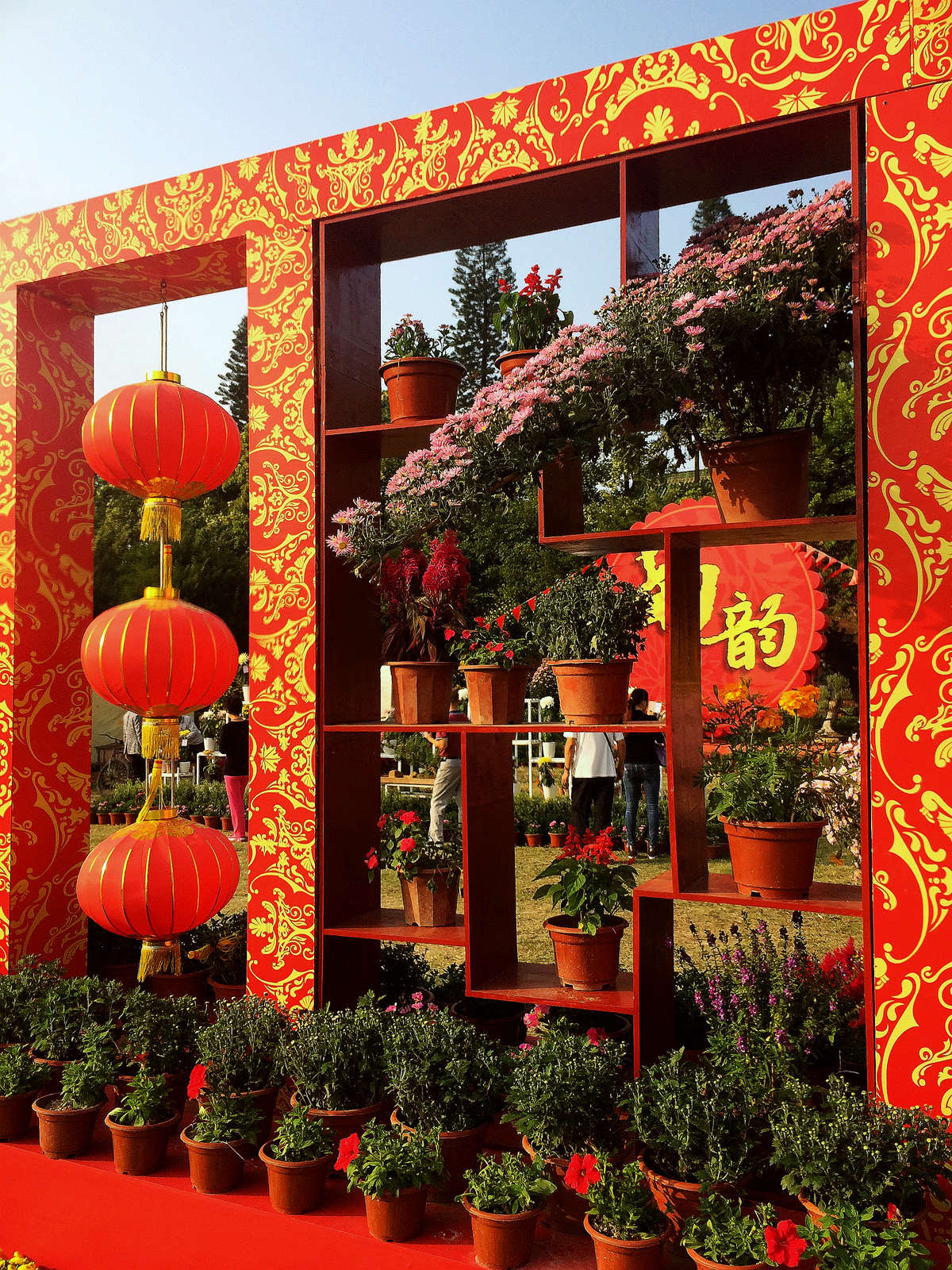 2015年汕头菊展行摄--iPhone 5S 拍摄