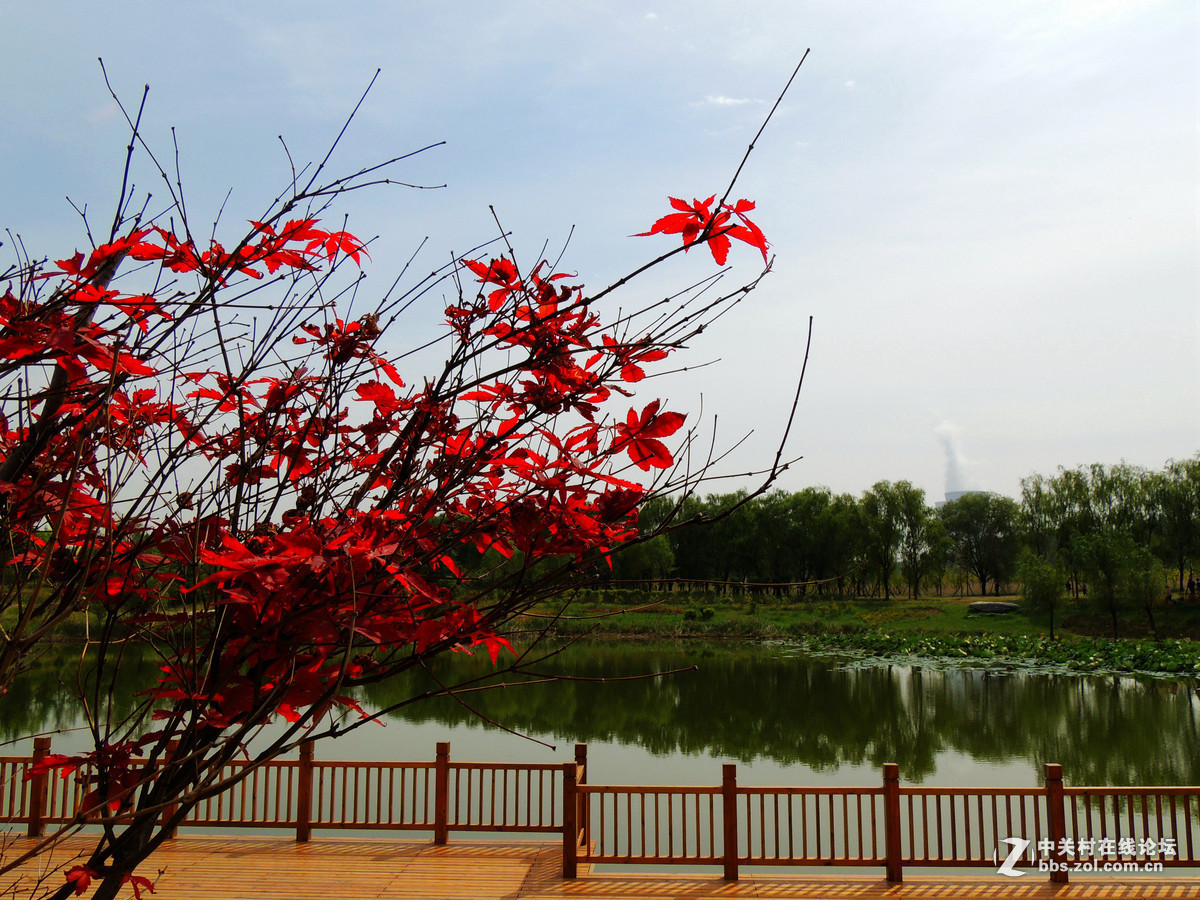 #版主坐堂#  2015年10-12月份【尼康p510星空(中国)】部分优秀作品