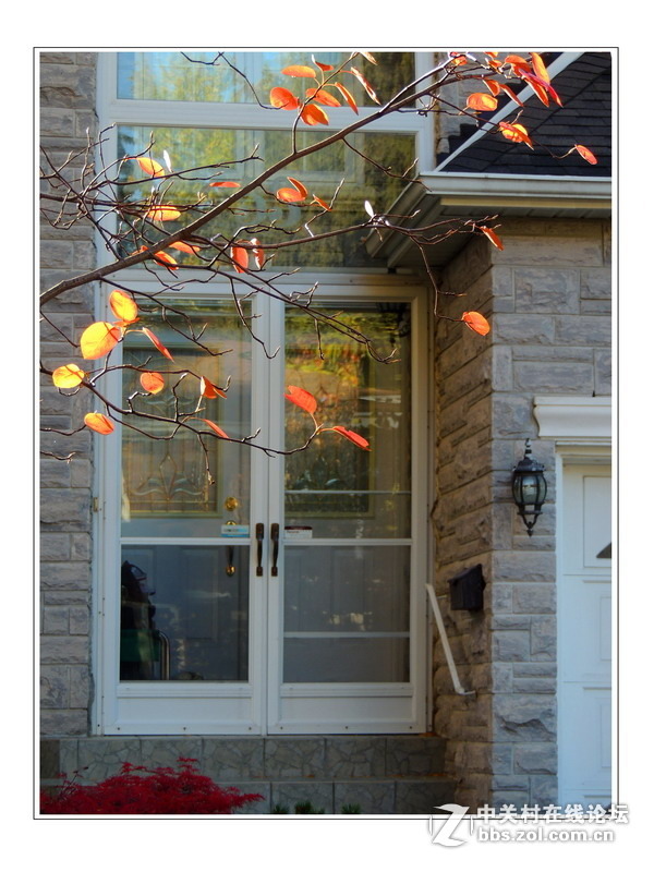 #版主坐堂#  2015年10-12月份【尼康p510星空(中国)】部分优秀作品