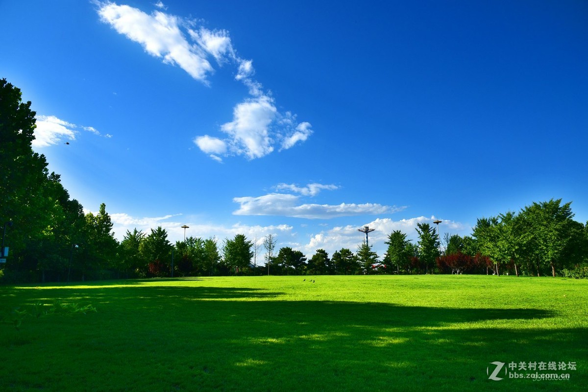 北京蓝天白云下的朝阳公园景1