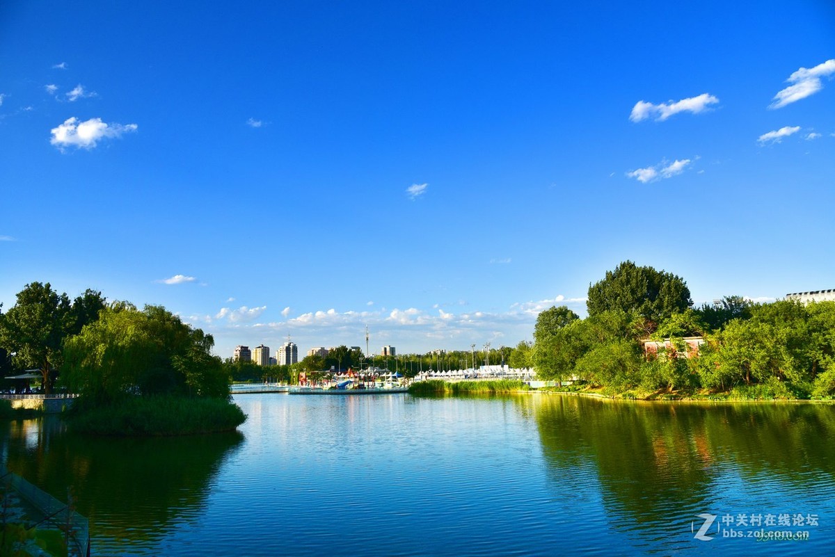 北京藍天白雲下的朝陽公園景1