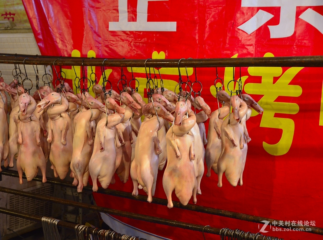 16-85的色彩表现