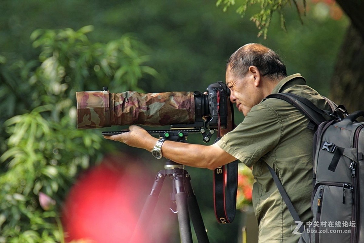 #版主坐堂# 《人文纪实星空(中国)》2016年11月部分优秀作品选编