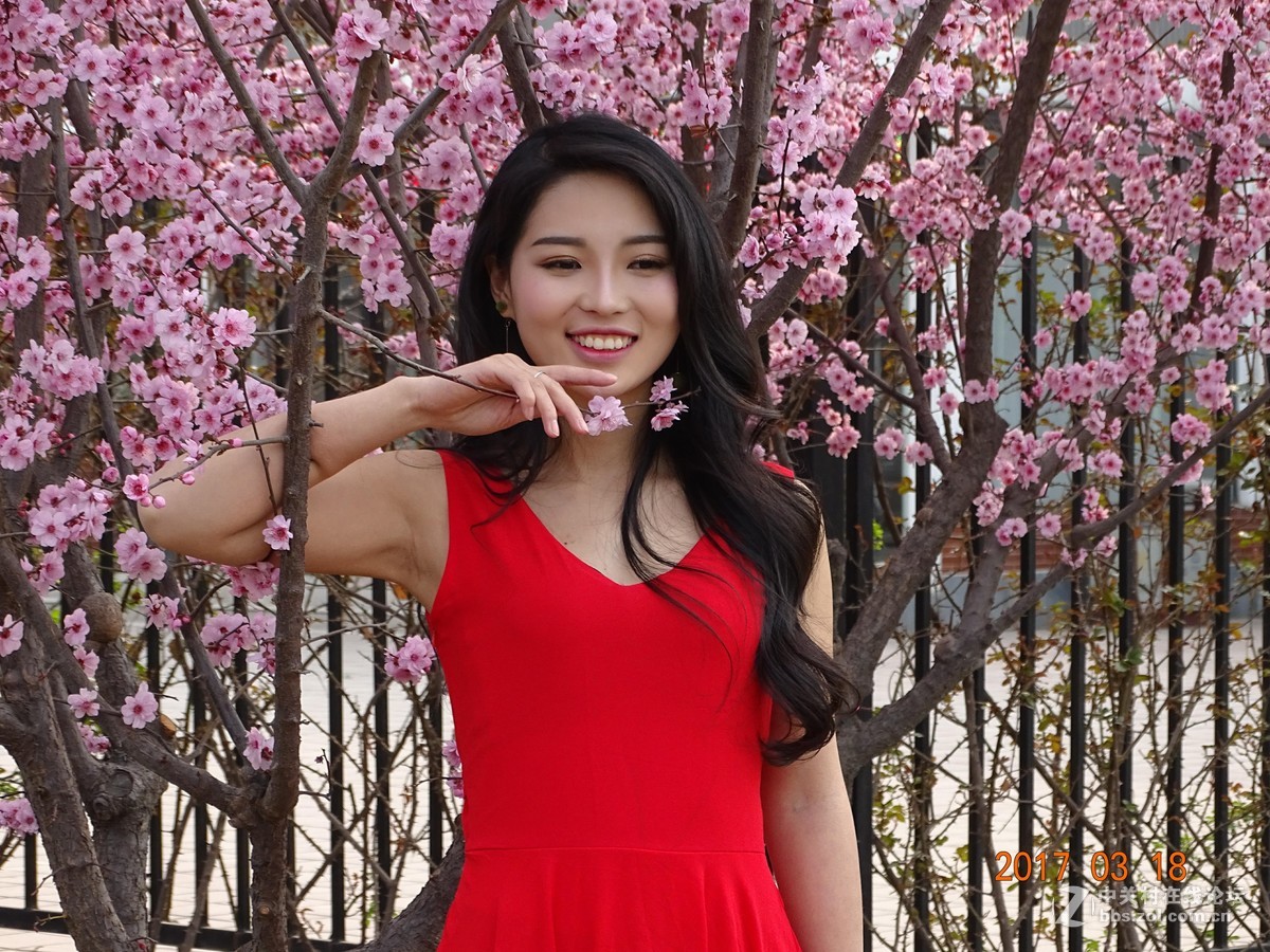 在哪桃花盛开的地方