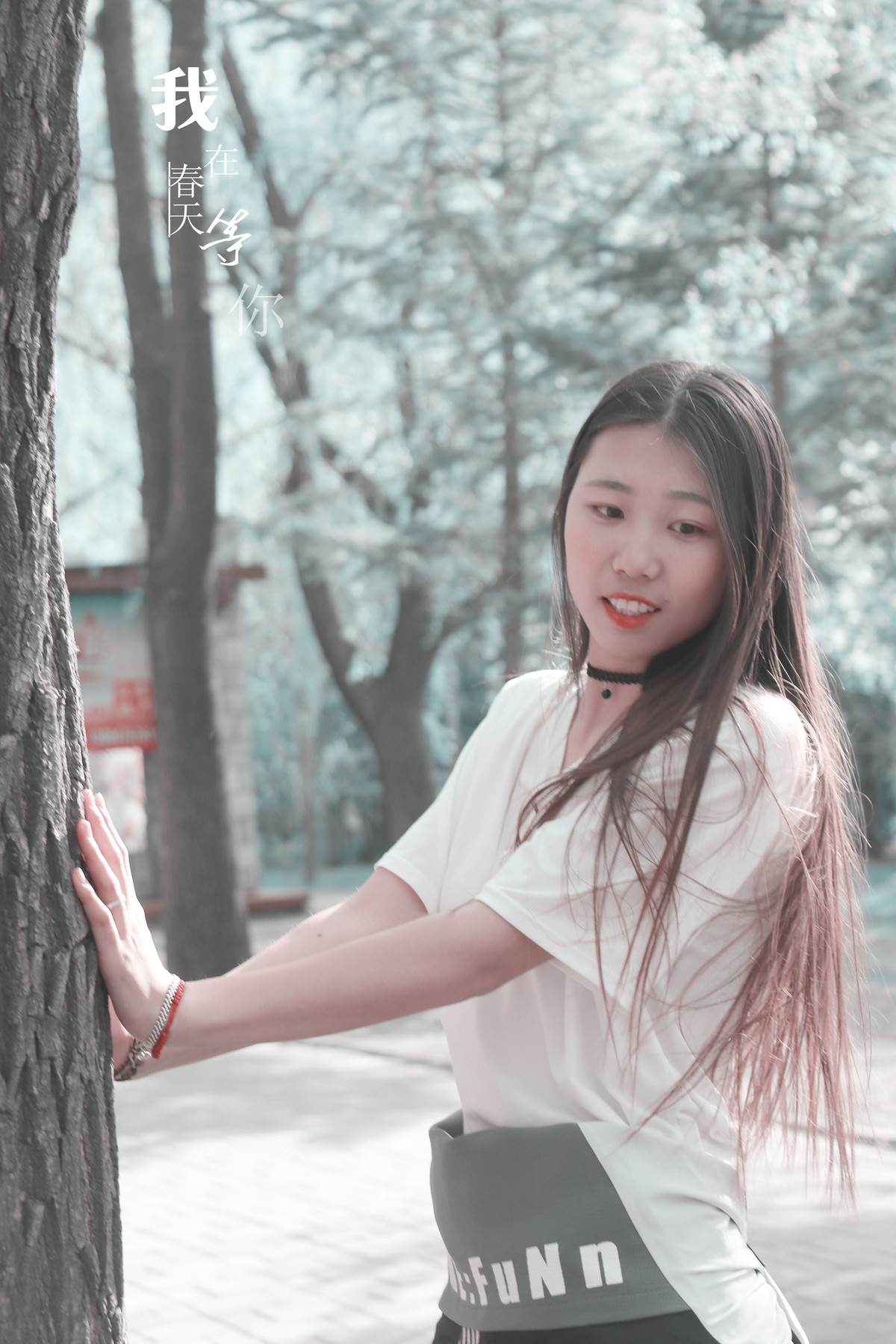 我在春天里等你------------