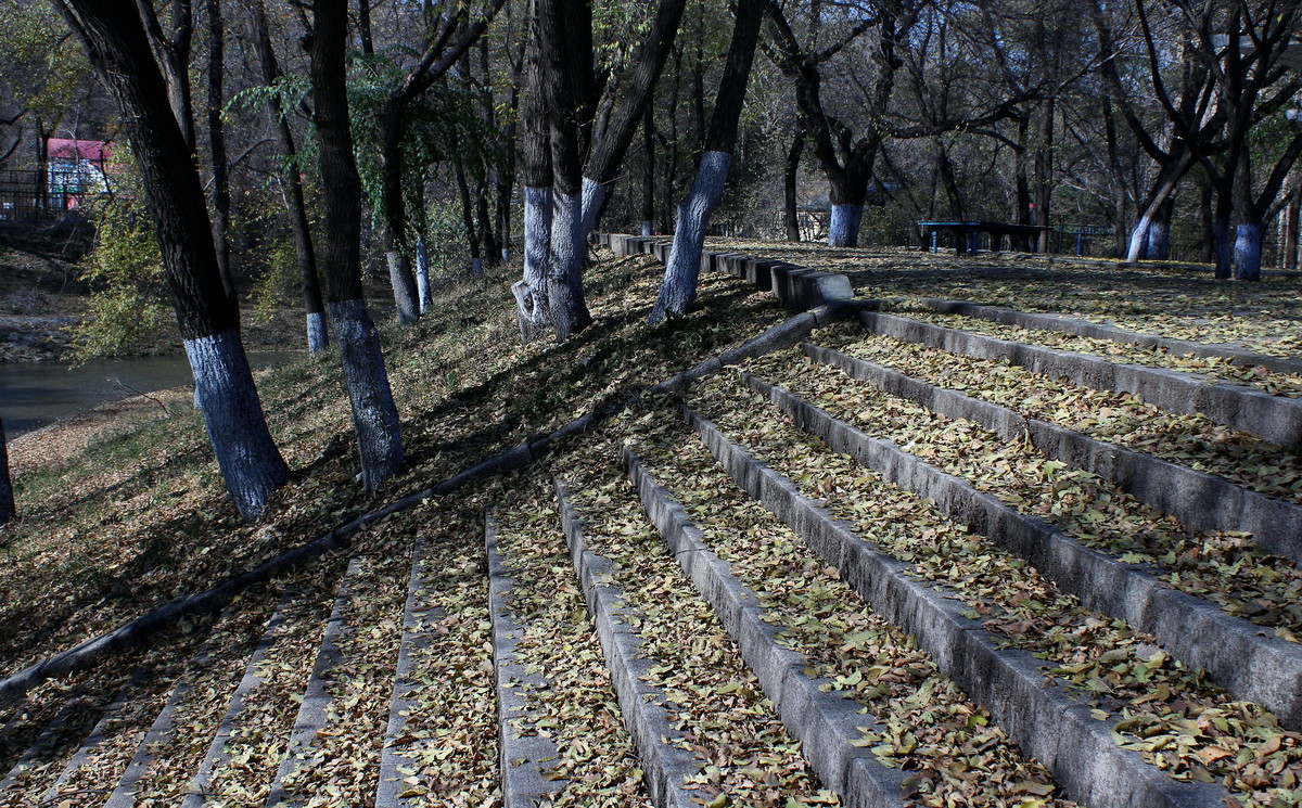 晚秋的小河边---哈尔滨黛秀植物园内的马家沟河畔随拍