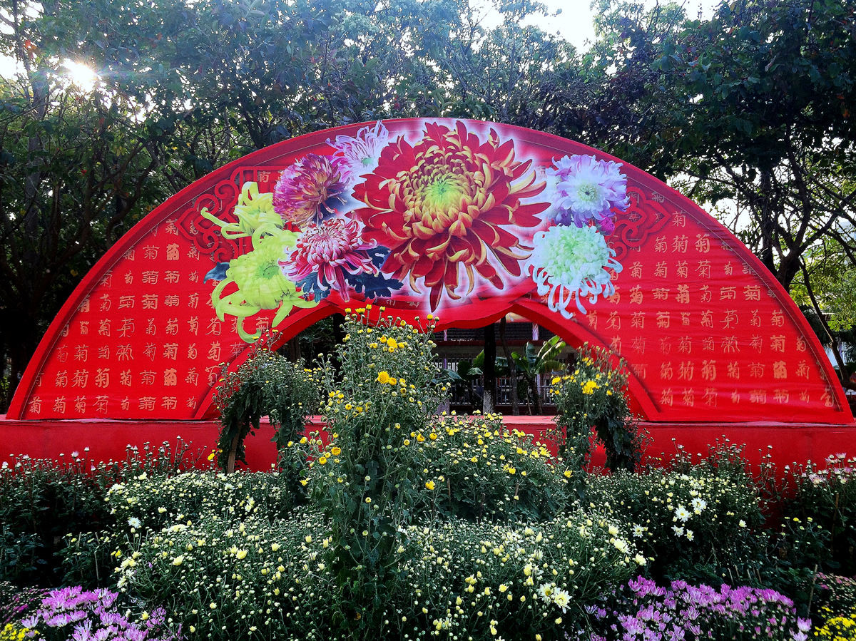 2015年汕头菊展行摄--iPhone 5S 拍摄