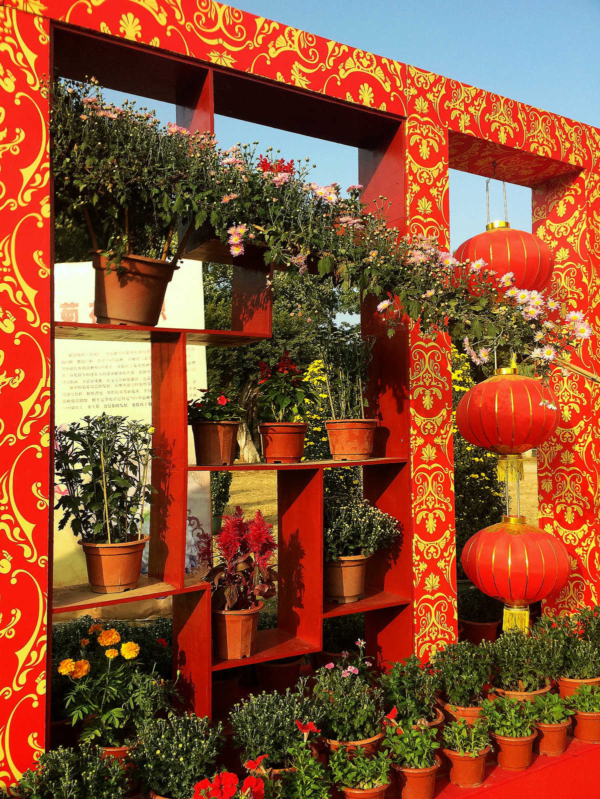 2015年汕头菊展行摄--iPhone 5S 拍摄