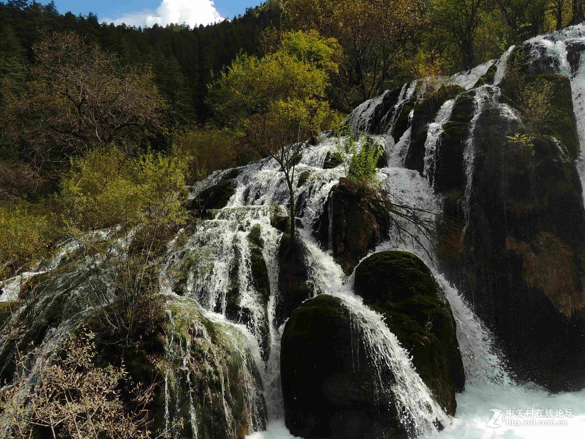 #版主坐堂#  2015年10-12月份【尼康p510星空(中国)】部分优秀作品