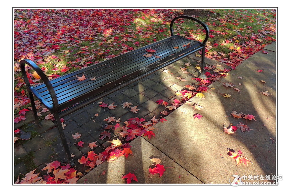 #版主坐堂#  2015年10-12月份【尼康p510星空(中国)】部分优秀作品