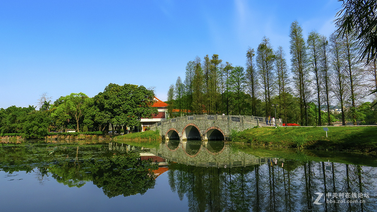 华南植物园