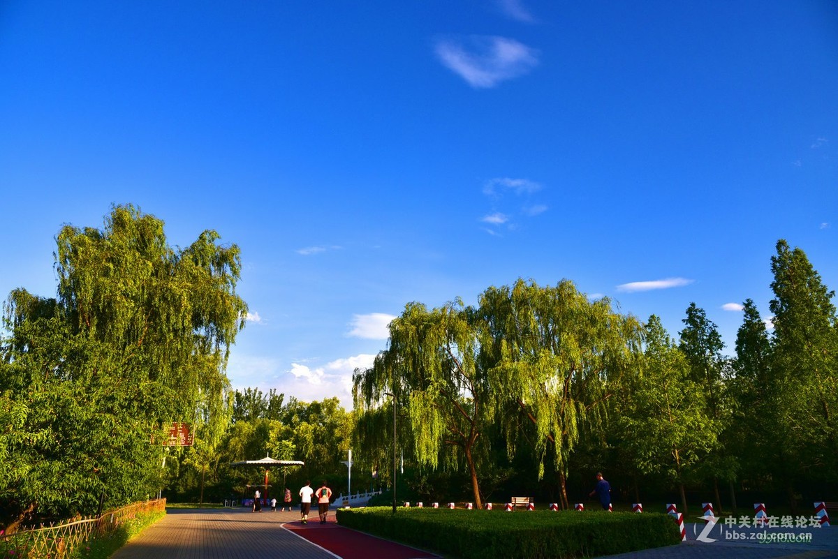 北京朝阳公园照片图片