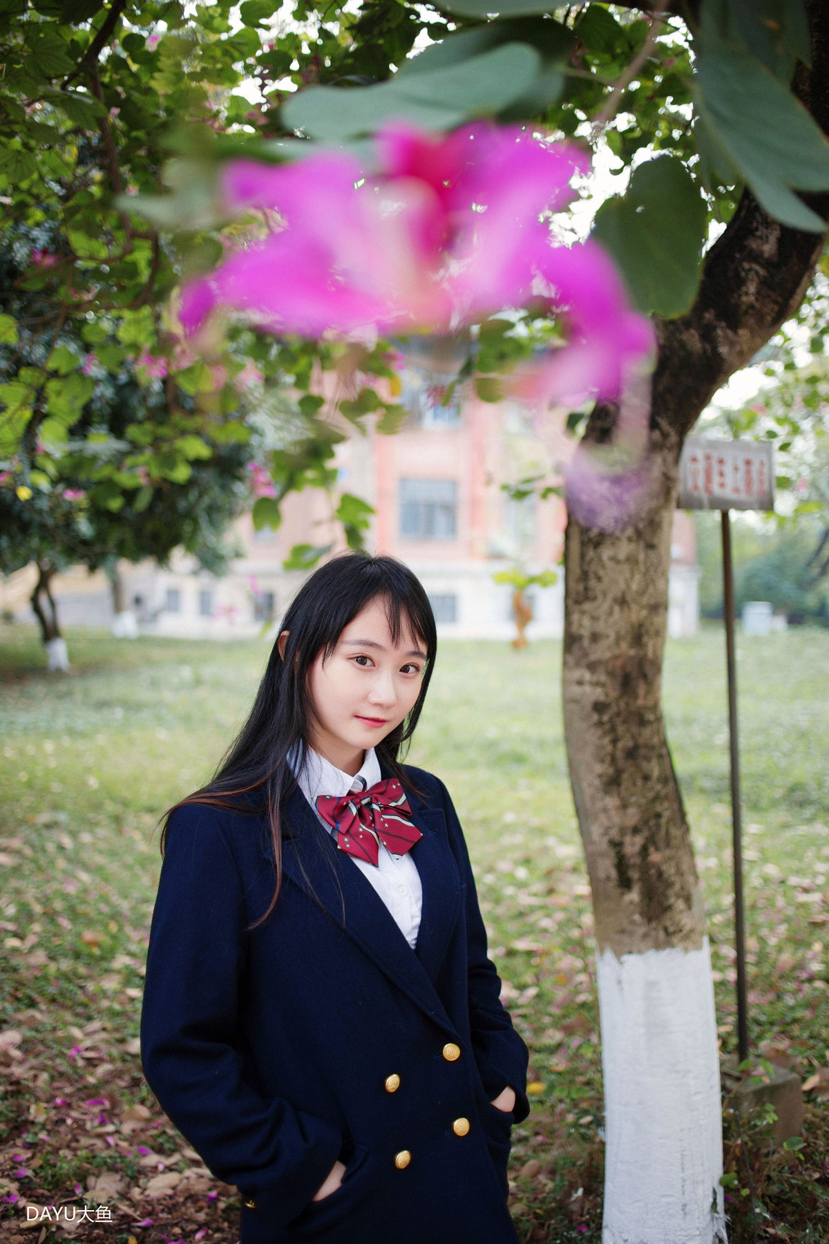 那时花开