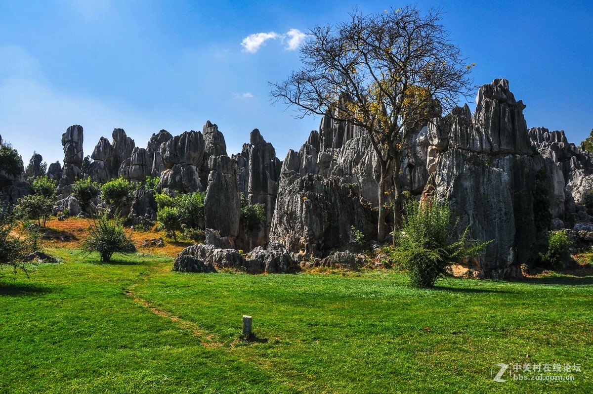 云南著名风景区石林03