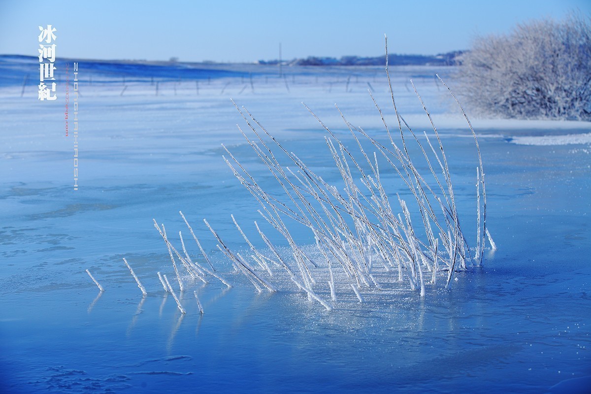 坝上行摄之-----冰河世纪