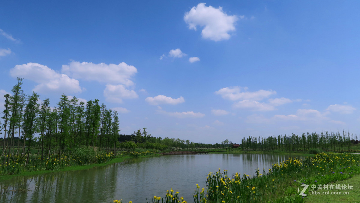 实拍成都新都香城湿地生态公园