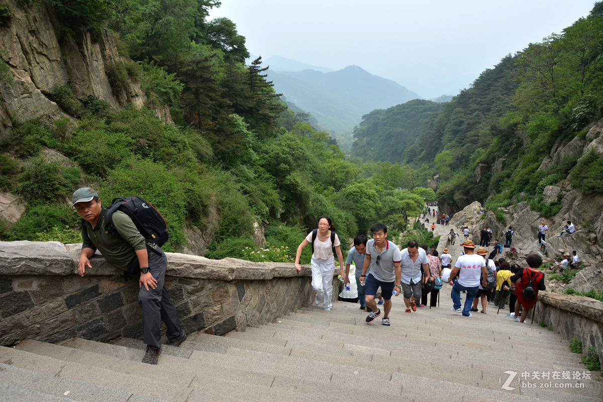 勇于攀登泰山的人们！