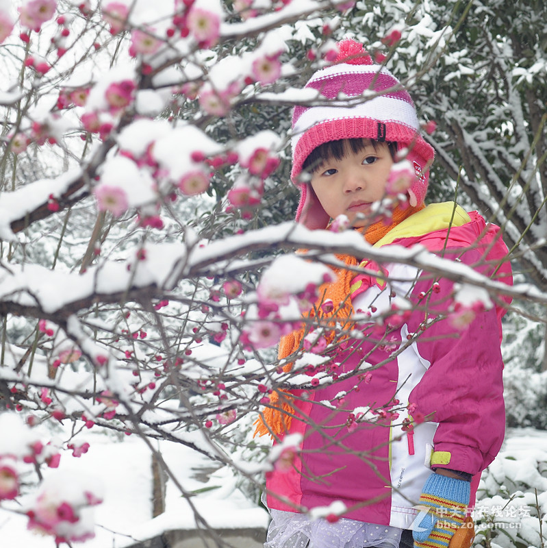 雪花飘飘