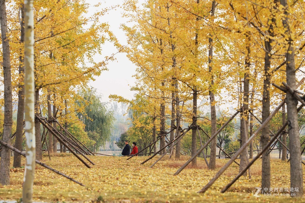 秋尽冬来，景色依然。