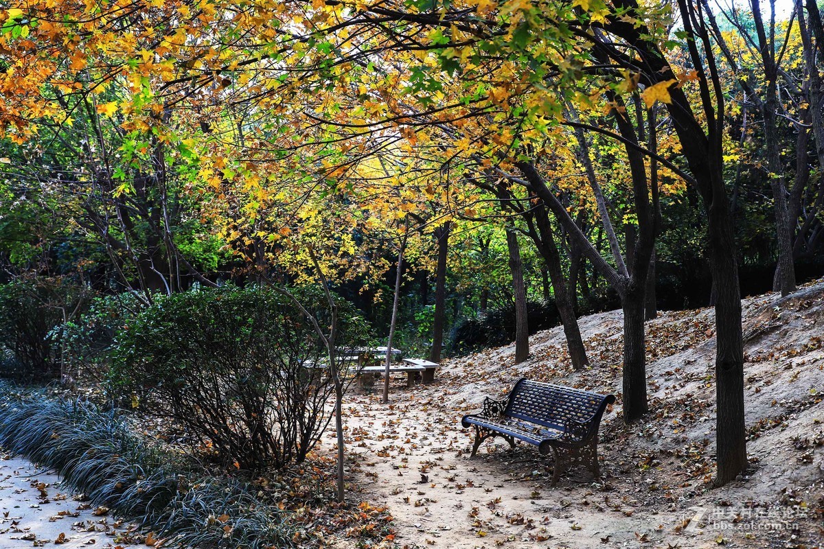 秋尽冬来，景色依然。