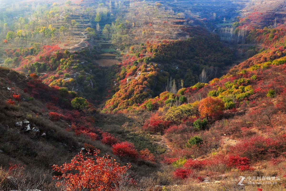 秋尽冬来，景色依然。