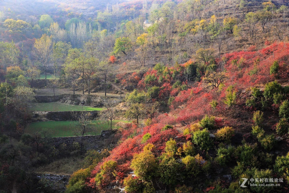 秋尽冬来，景色依然。