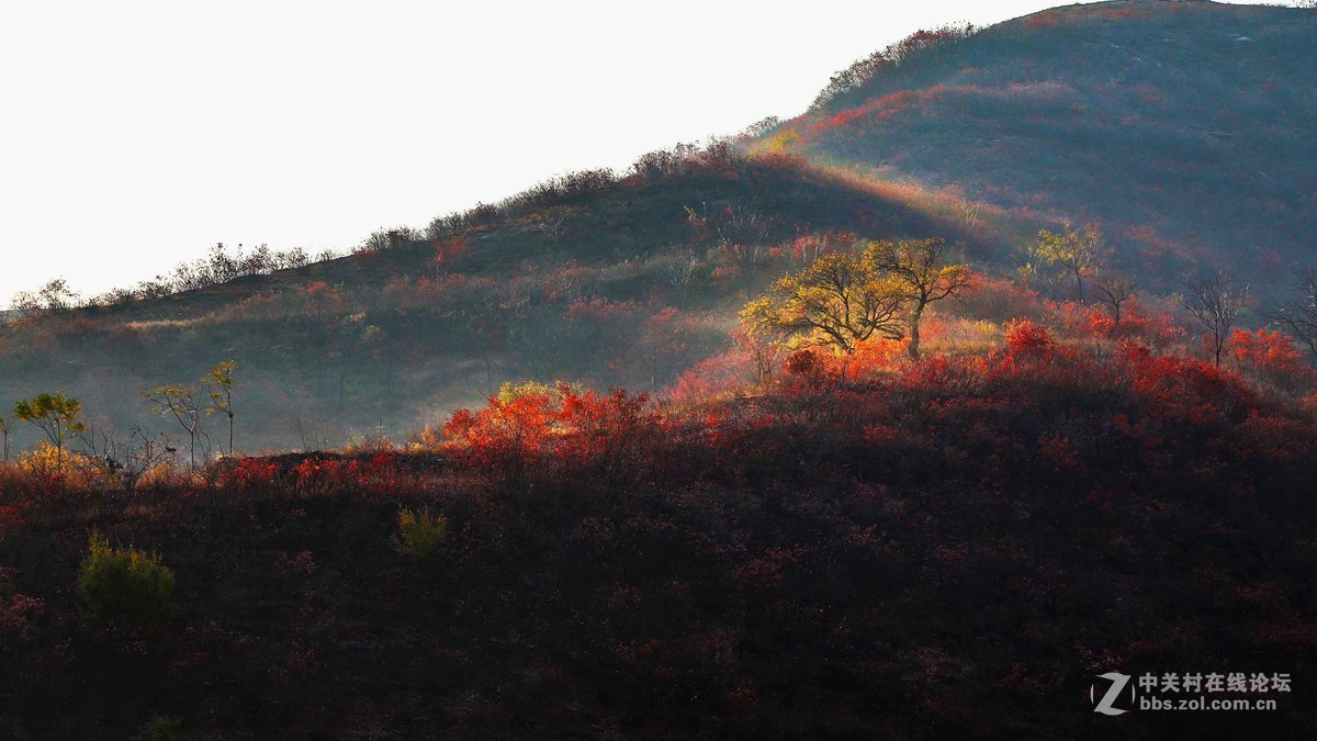秋尽冬来，景色依然。