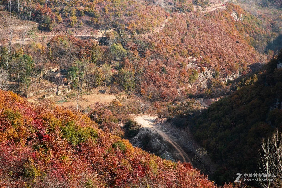 秋尽冬来，景色依然。