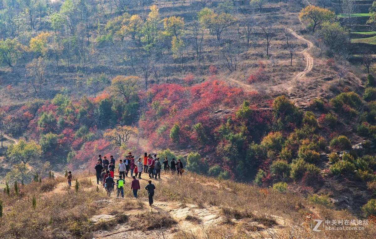 秋尽冬来，景色依然。