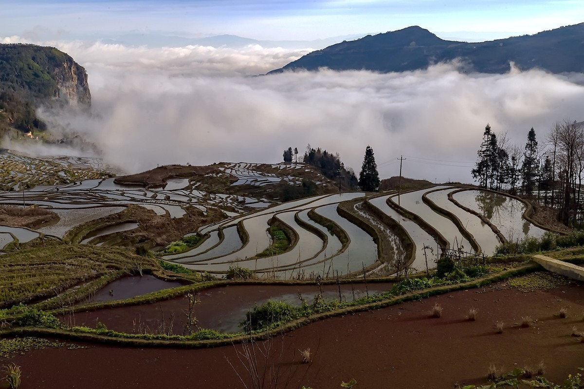 雲南紅河元陽多依樹梯田2