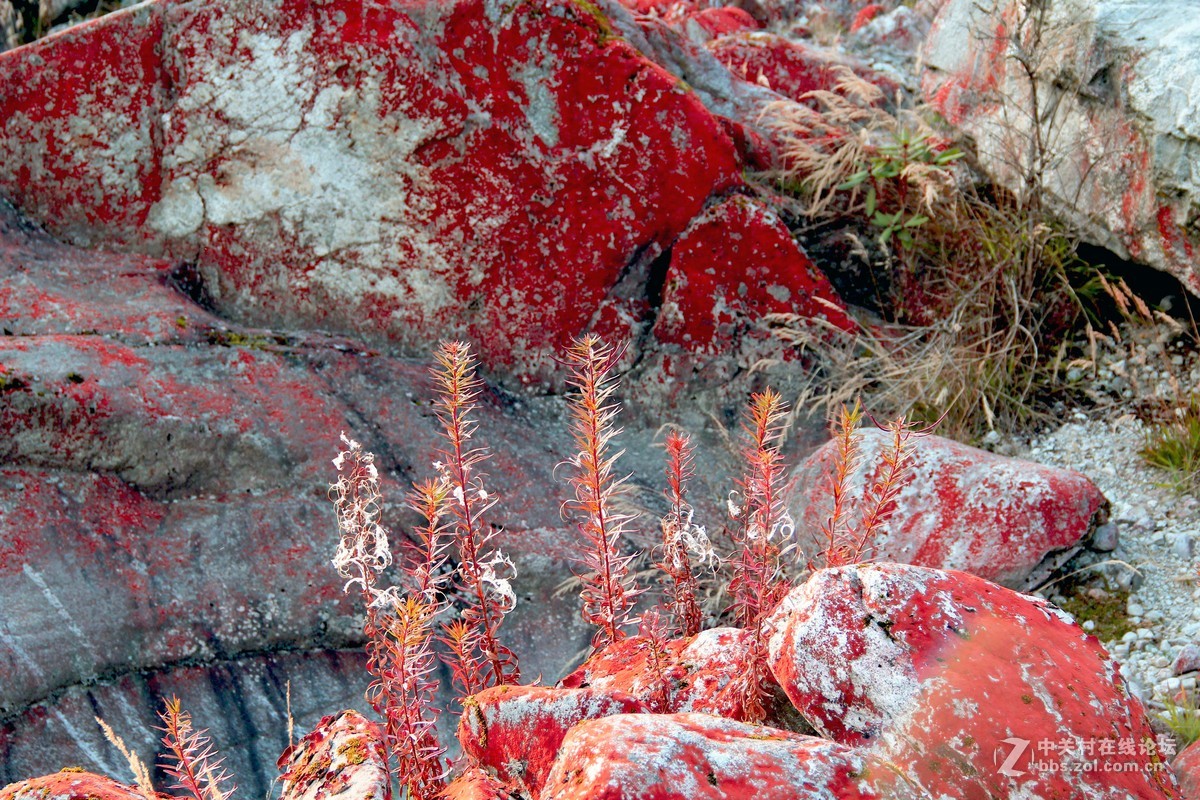 红石滩的石头为什么这样红？