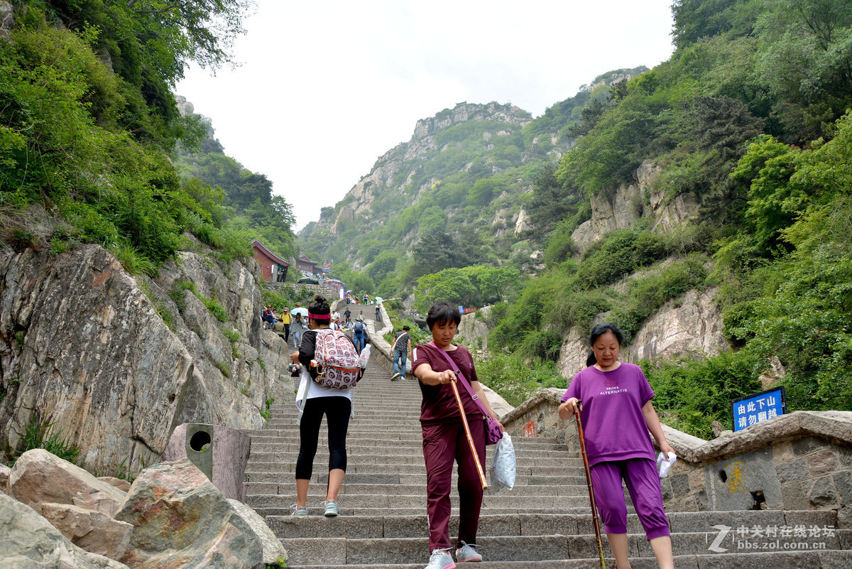 勇于攀登泰山的人们！