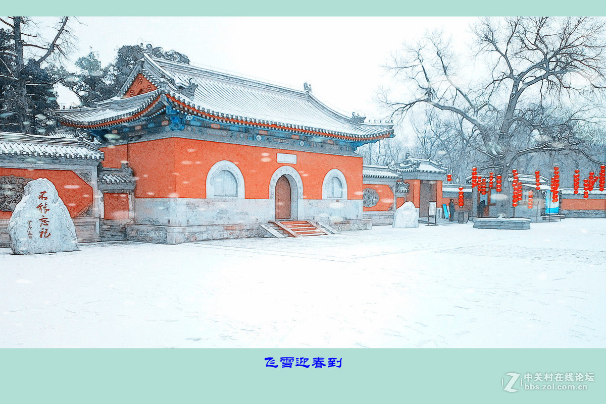 飞雪迎春------2017年的第一场雪