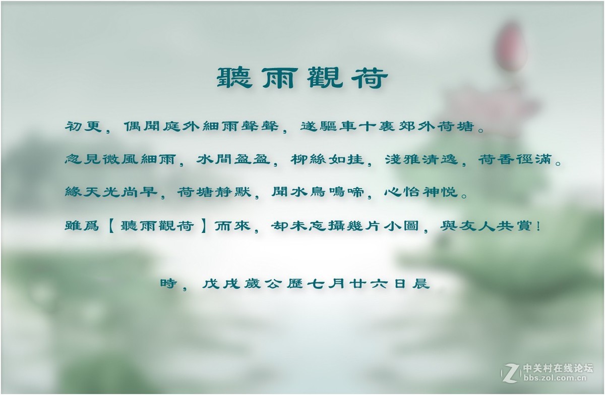 【听雨观荷】
