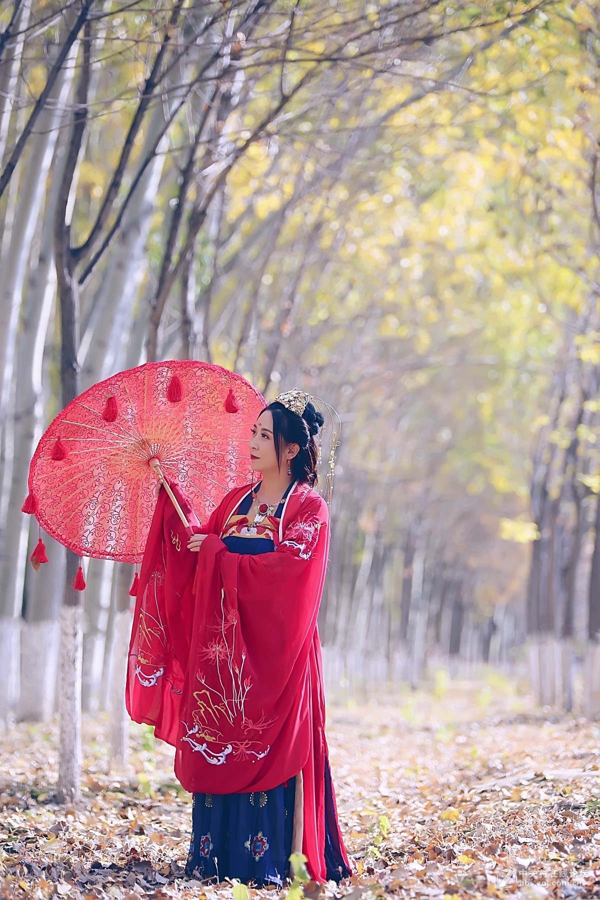 A009摔了，修复后试机两张
