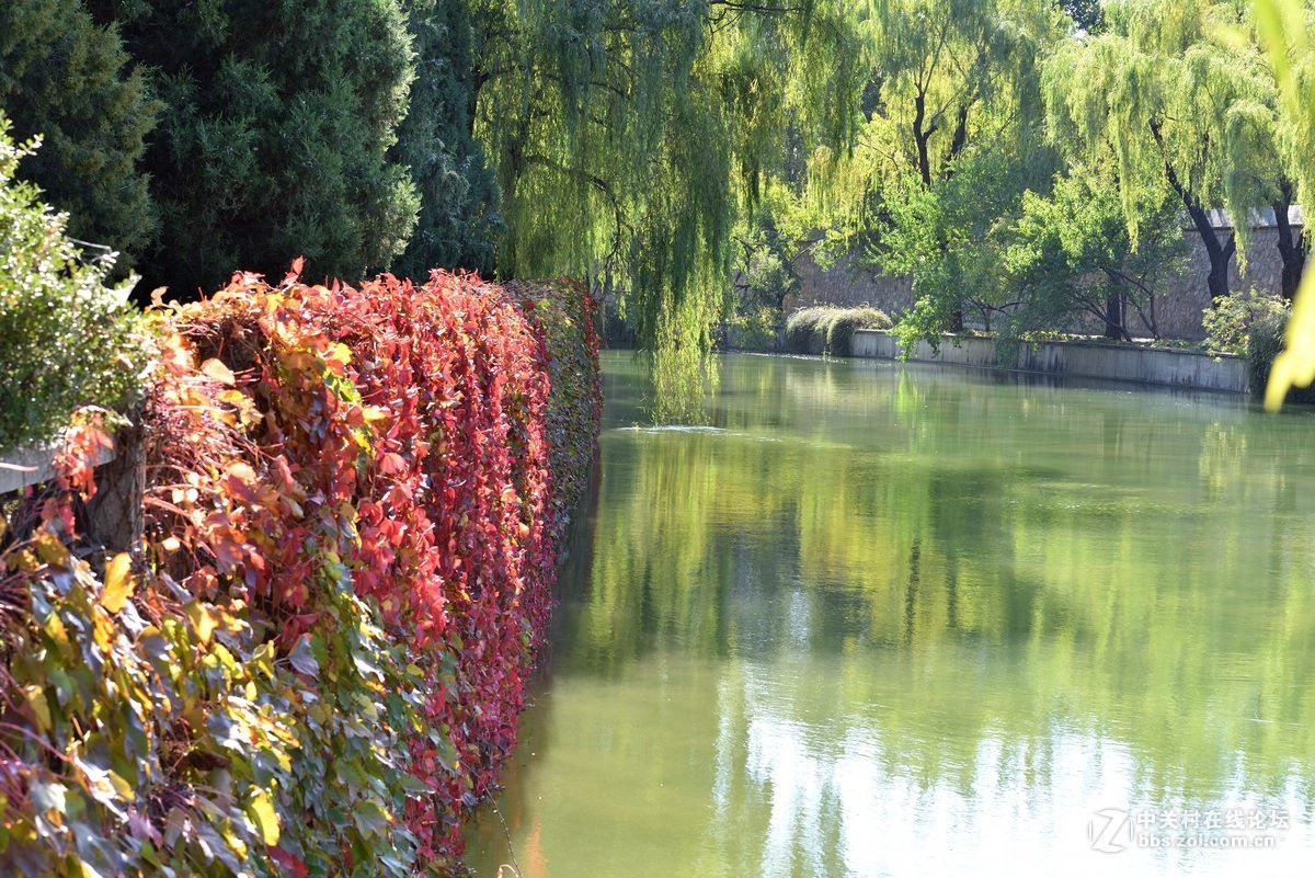 颐和园西堤秋色