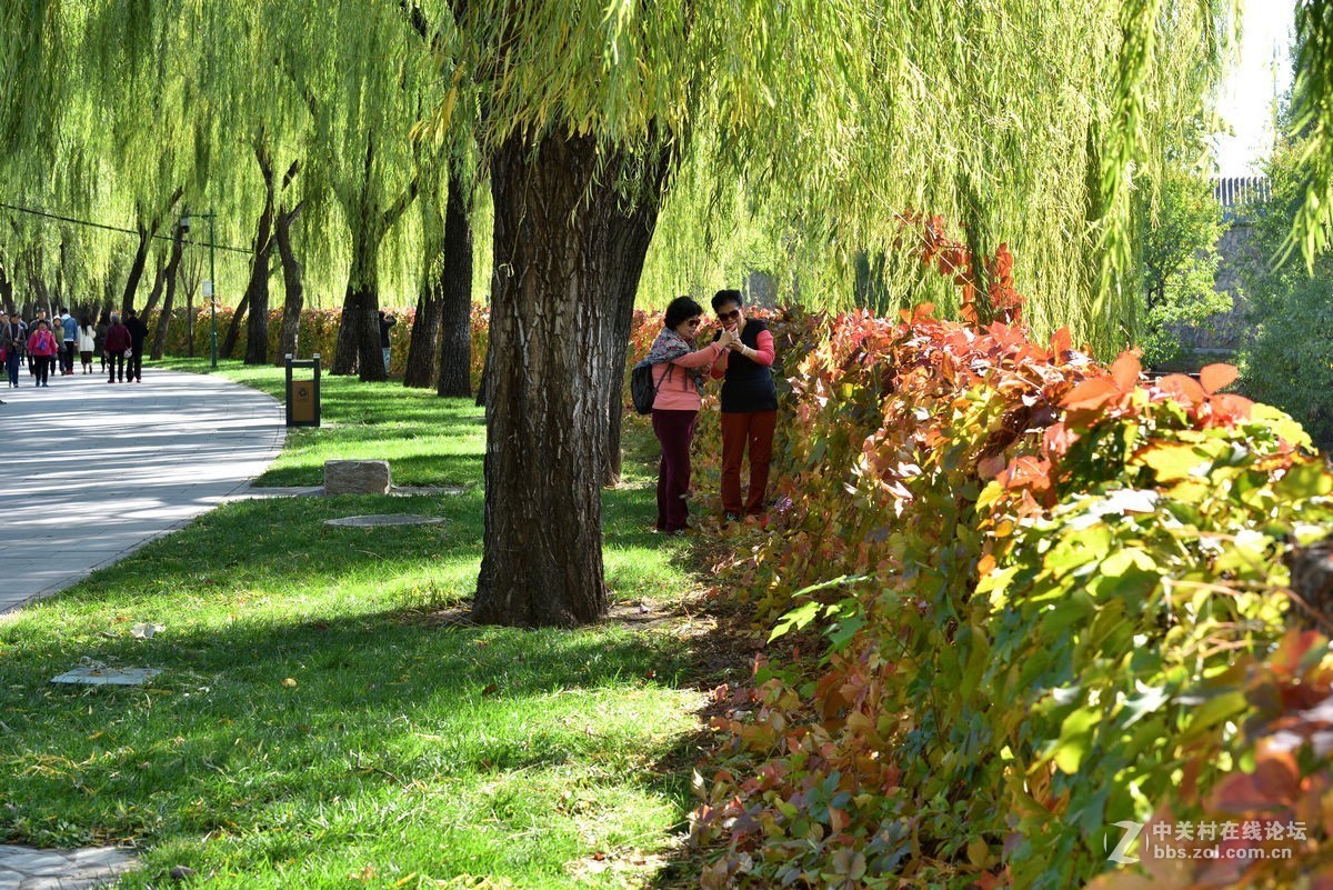 颐和园西堤秋色
