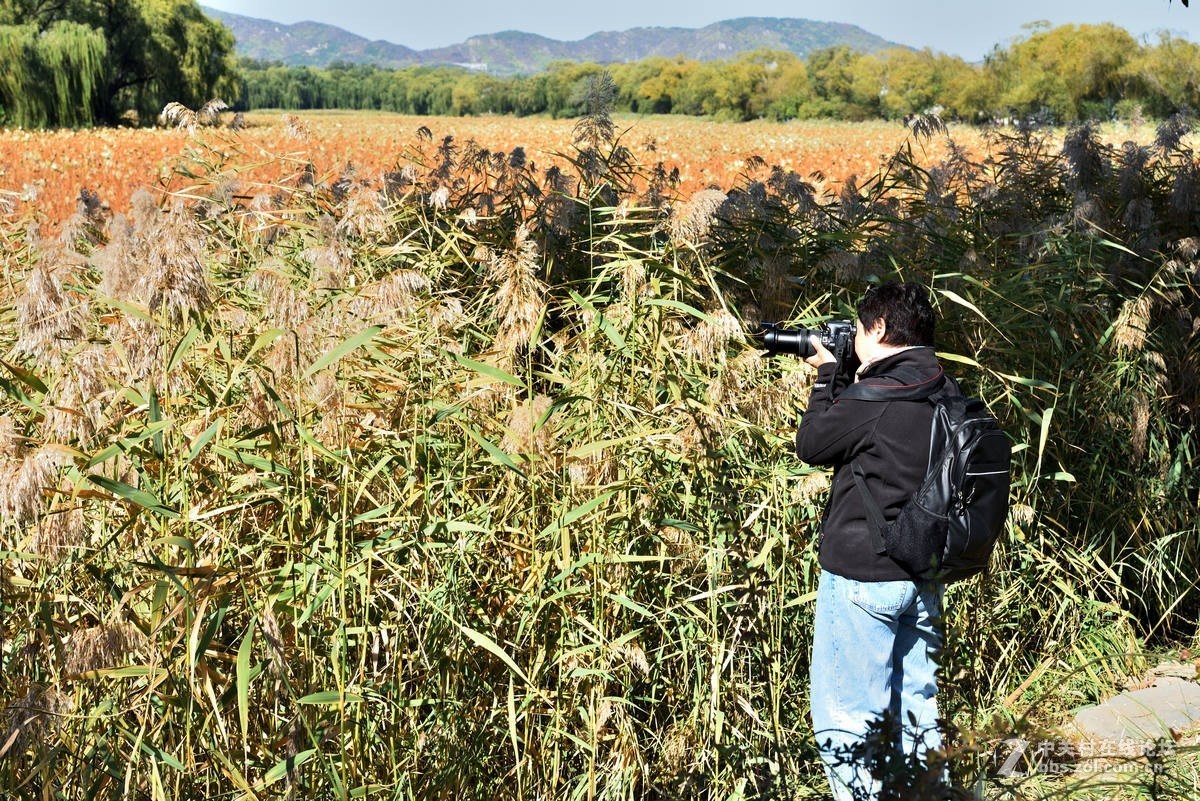 颐和园西堤秋色
