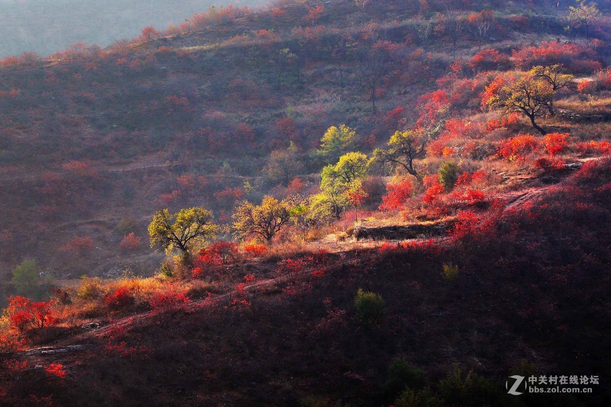 秋尽冬来，景色依然。