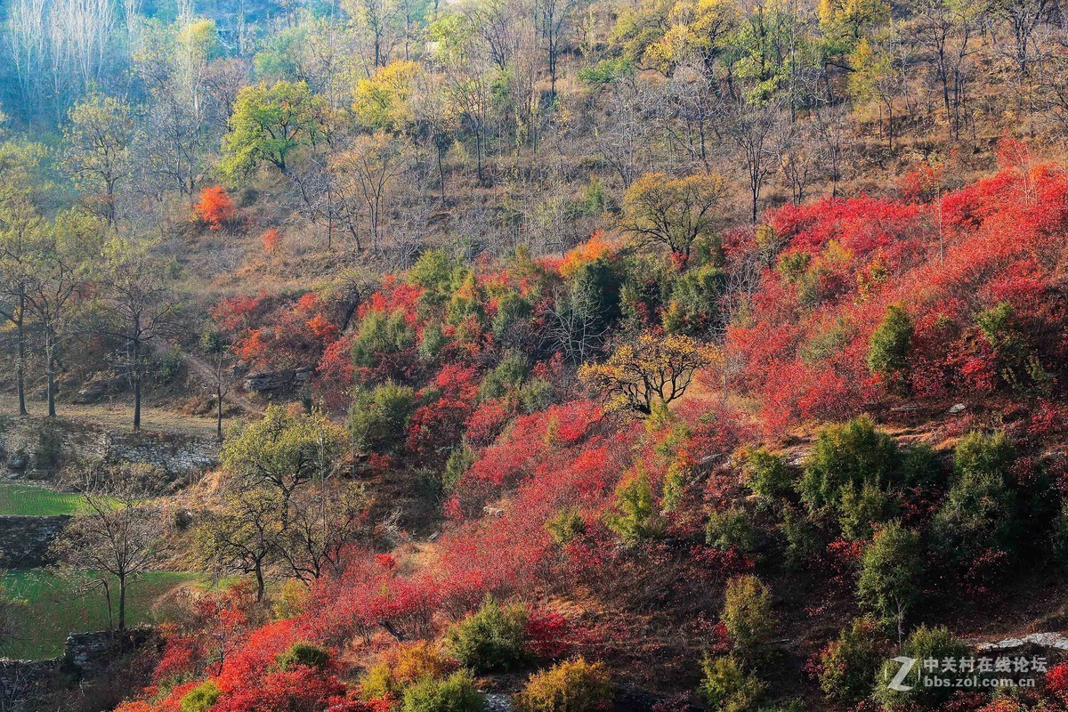 秋尽冬来，景色依然。