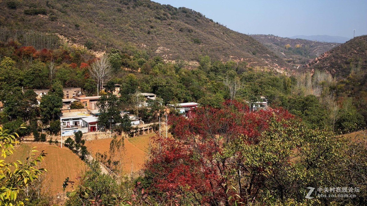 秋尽冬来，景色依然。