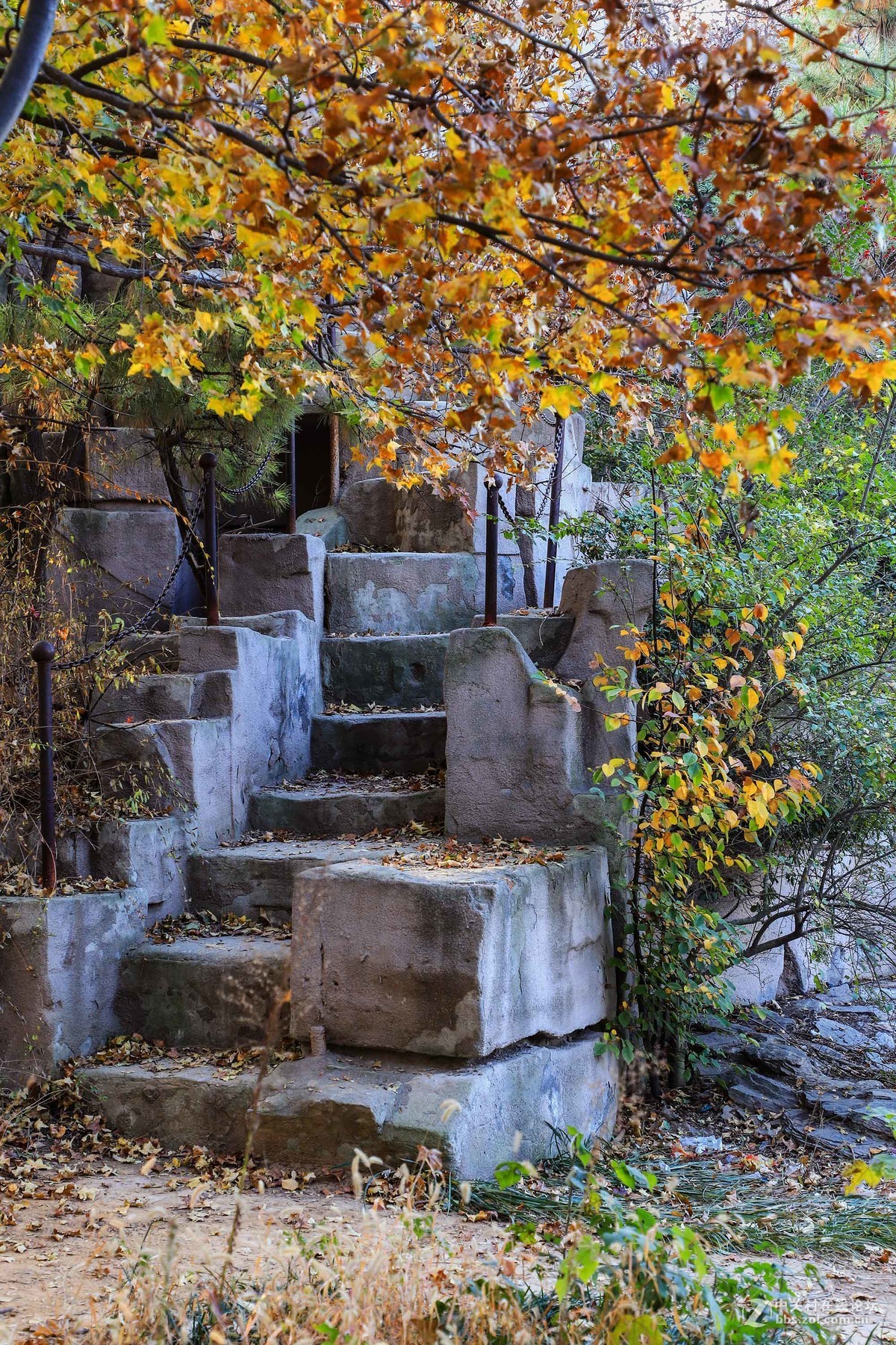 秋尽冬来，景色依然。